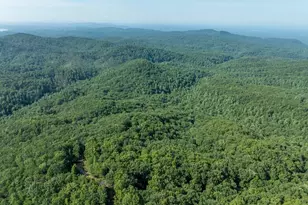 Lot 9 Brushy Top Dr, Chatsworth, GA 30705 - Photo 5