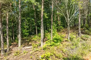 Lot 9 Brushy Top Dr, Chatsworth, GA 30705 - Photo 11