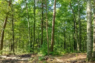 Lot 9 Brushy Top Dr, Chatsworth, GA 30705 - Photo 17