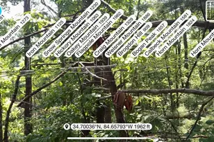 Lot 9 Brushy Top Dr, Chatsworth, GA 30705 - Photo 23