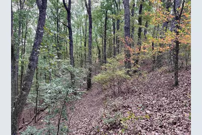 32 Antler Court, Ranger, GA 30734 - Photo 3