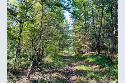 220 Maxwell Mountain Road, Blue Ridge, GA 30513 - Photo 5