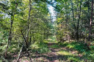 220 Maxwell Mountain Road, Blue Ridge, GA 30513 - Photo 5