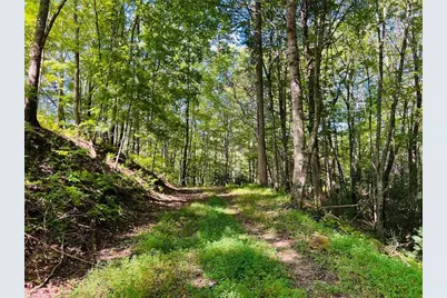 220 Maxwell Mountain Road, Blue Ridge, GA 30513 - Photo 3