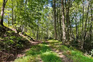 220 Maxwell Mountain Road, Blue Ridge, GA 30513 - Photo 3