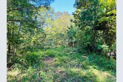 220 Maxwell Mountain Road, Blue Ridge, GA 30513 - Photo 7