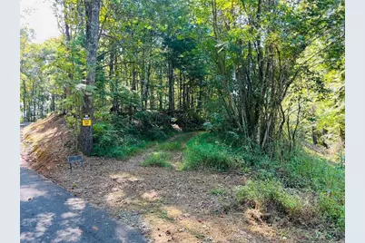 220 Maxwell Mountain Road, Blue Ridge, GA 30513 - Photo 9