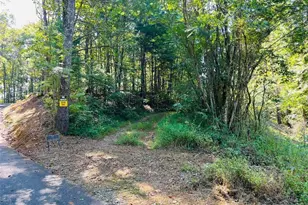 220 Maxwell Mountain Road, Blue Ridge, GA 30513 - Photo 9