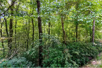 4.69 Rockwater Road, Ellijay, GA 30536 - Photo 21