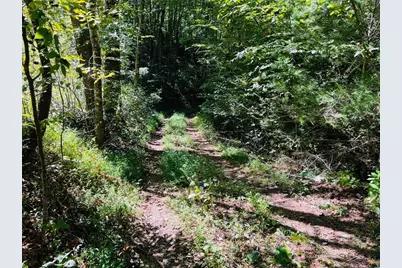 4/ 5 Maxwell Mountain Road, Ellijay, GA 30540 - Photo 5