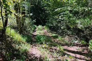 4/ 5 Maxwell Mountain Rd, Ellijay, GA 30540 - Photo 5