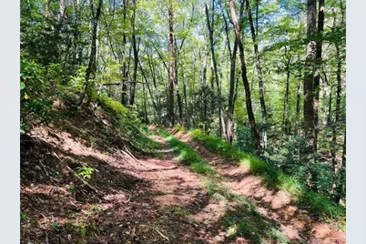 4/ 5 Maxwell Mountain Road, Ellijay, GA 30540 - Photo 7