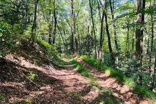 4/ 5 Maxwell Mountain Rd, Ellijay, GA 30540 - Photo 7