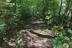 4/ 5 Maxwell Mountain Rd, Ellijay, GA 30540 - Photo 11