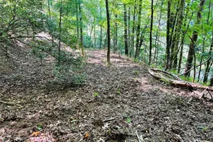 4/ 5 Maxwell Mountain Rd, Ellijay, GA 30540 - Photo 13