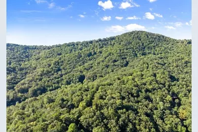 0.55 A Pine Ridge Road, Ellijay, GA 30540 - Photo 7