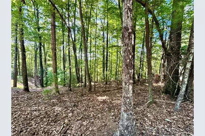 0.55 A Pine Ridge Road, Ellijay, GA 30540 - Photo 1