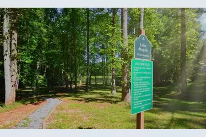 0.55 A Pine Ridge Road, Ellijay, GA 30540 - Photo 17