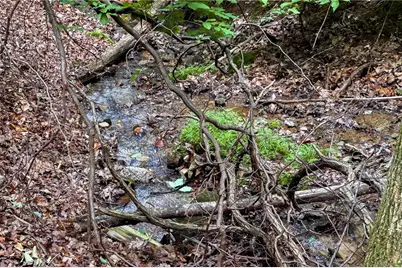 341 Valley View Road, Ellijay, GA 30536 - Photo 49