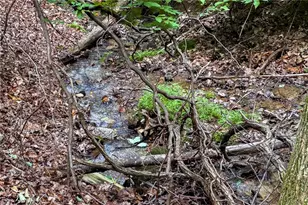 341 Valley View Rd, Ellijay, GA 30536 - Photo 49