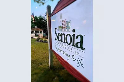 [Address not provided], Senoia, GA 30276 - Photo 31