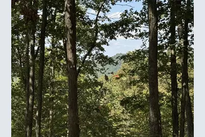 1005 Mayfield Lane NE, Ranger, GA 30734 - Photo 11