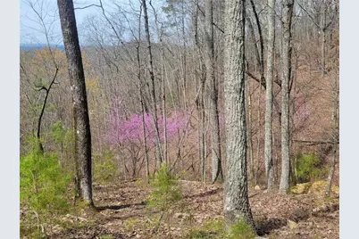 1005 Mayfield Lane NE, Ranger, GA 30734 - Photo 5