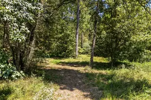 375 Druid Rd SE, Rome, GA 30161 - Photo 73