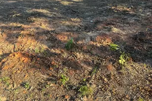 3980 Hwy 5, Douglasville, GA 30135 - Photo 1