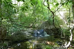 220 Tuscarora Trail, Hartwell, GA 30643 - Photo 31