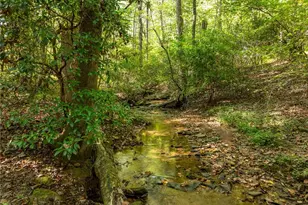 346 Berean Church Rd, Ellijay, GA 30540 - Photo 33