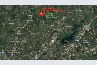 1693 Cowart Road, Dawsonville, GA 30534 - Photo 3