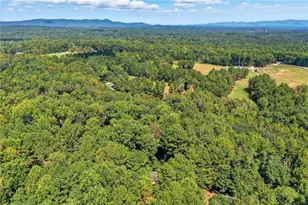 1010 Martin Ln, Canton, GA 30114 - Photo 31