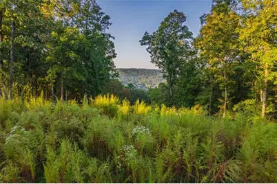 Lt 290 Anglers Ridge Road, Talking Rock, GA 30175 - Photo 1