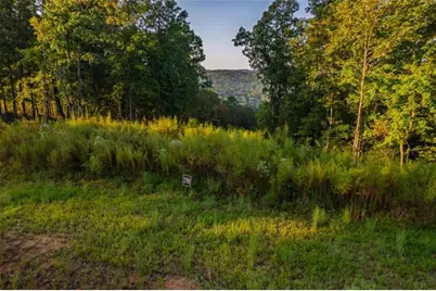 Lt 290 Anglers Ridge Road, Talking Rock, GA 30175 - Photo 13
