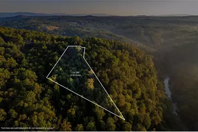 Lt 290 Anglers Ridge Road, Talking Rock, GA 30175 - Photo 3