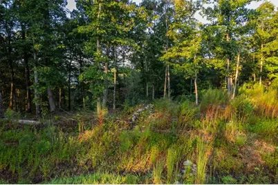 Lt 290 Anglers Ridge Road, Talking Rock, GA 30175 - Photo 11