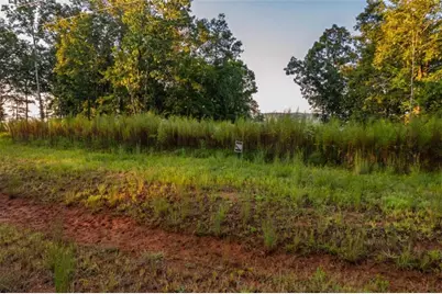 Lt 290 Anglers Ridge Road, Talking Rock, GA 30175 - Photo 7