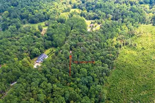 520 George Gray Ln, Waleska, GA 30183 - Photo 55