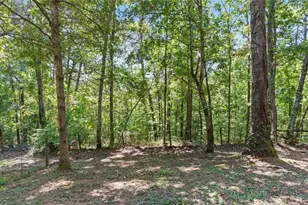 520 George Gray Ln, Waleska, GA 30183 - Photo 51