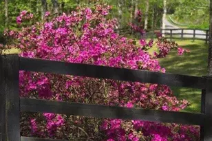 5419 Tyree Rd, Winston, GA 30187 - Photo 57