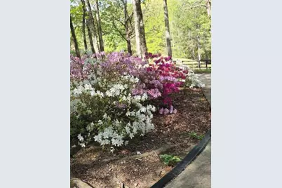 5419 Tyree Road, Winston, GA 30187 - Photo 59