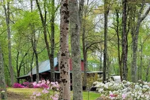 5419 Tyree Rd, Winston, GA 30187 - Photo 65