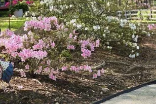 5419 Tyree Rd, Winston, GA 30187 - Photo 51