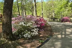 5419 Tyree Rd, Winston, GA 30187 - Photo 55