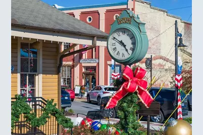 6749 Leigh Street, Flowery Branch, GA 30542 - Photo 109