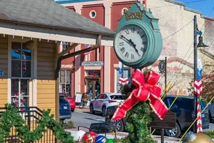 6749 Leigh St, Flowery Branch, GA 30542 - Photo 109