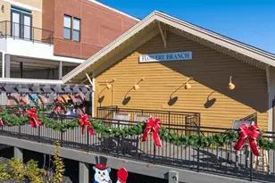 6749 Leigh St, Flowery Branch, GA 30542 - Photo 103