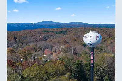 6749 Leigh Street, Flowery Branch, GA 30542 - Photo 125