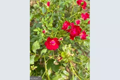 3665 Clubhouse Lane, Conyers, GA 30094 - Photo 41